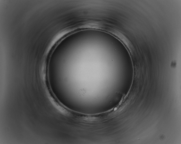 X0000102521131200808081421