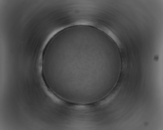 X0000102521132200808081421