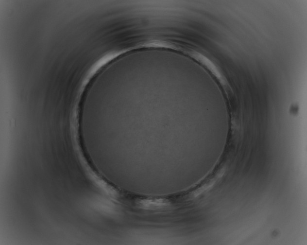 X0000102521133200808081421