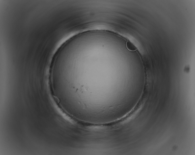 X0000102521134200808081421