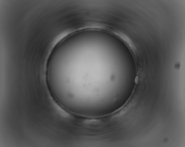 X0000102521135200808081421