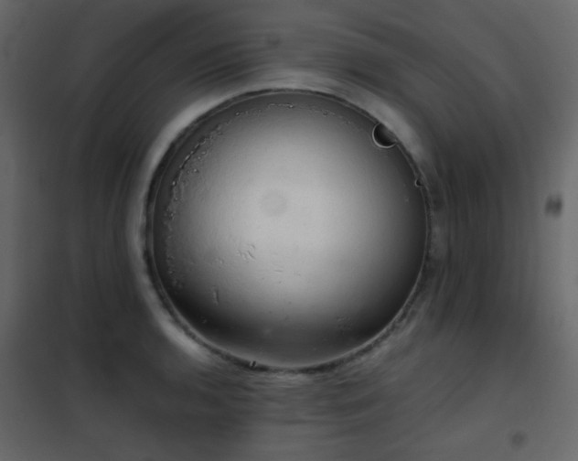 X0000102521136200808081421