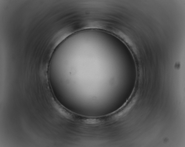 X0000102521137200808081421