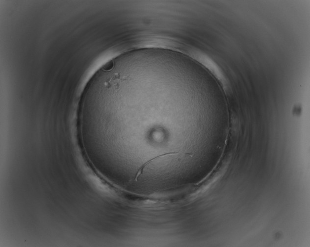 X0000102521138200808081421