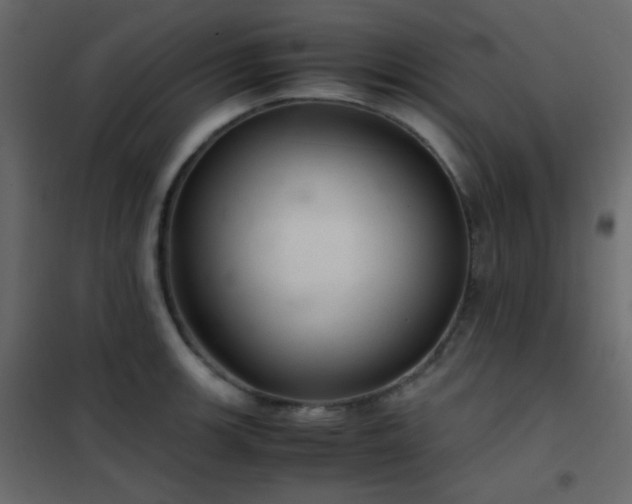 X0000102521139200808081421