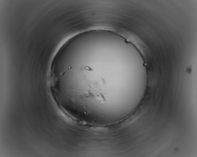 X0000102521140200808081421