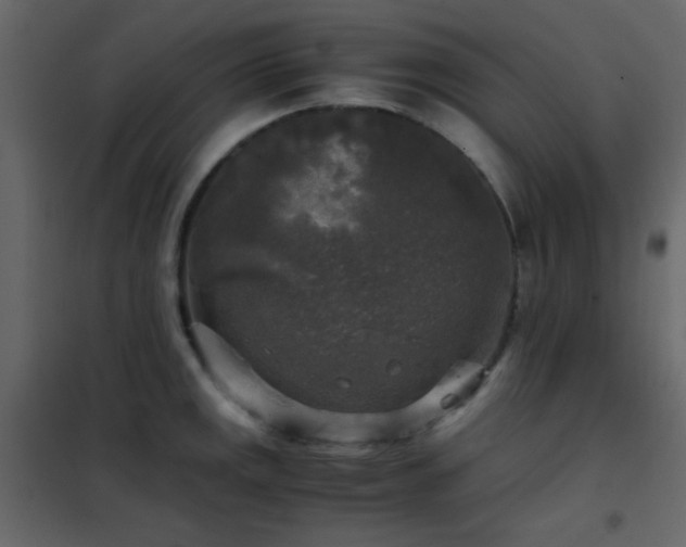 X0000102521141200808081421