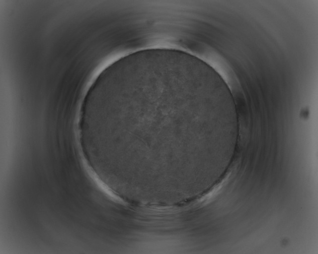 X0000102521142200808081421