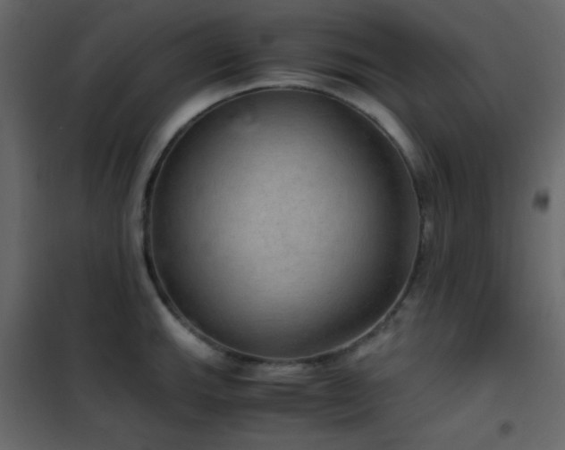 X0000102521143200808081421