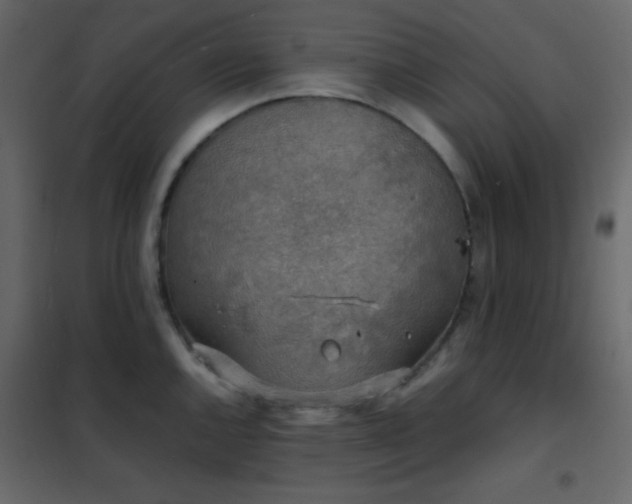 X0000102521144200808081421