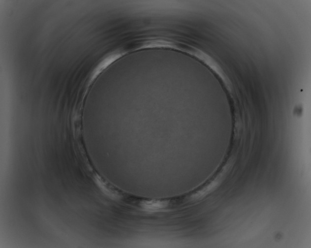 X0000102521145200808081421