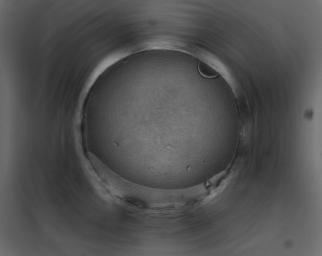 X0000102521146200808081421