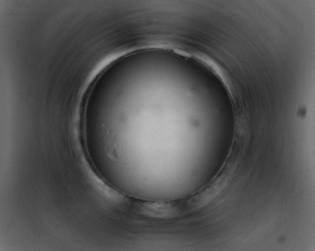 X0000102521147200808081421