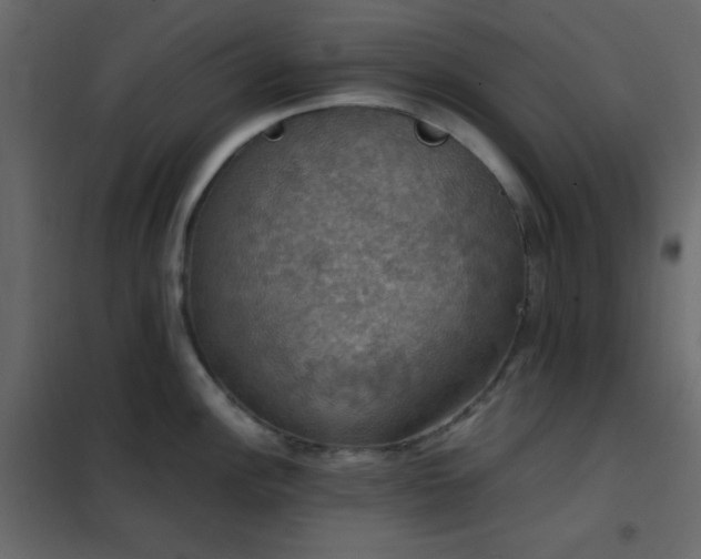 X0000102521148200808081422