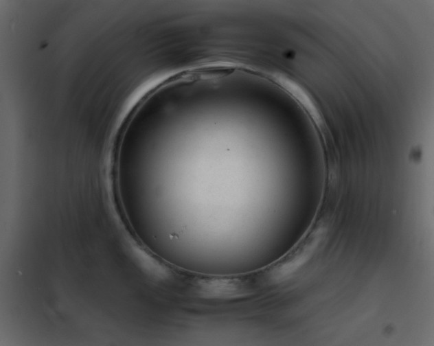 X0000102521149200808081422