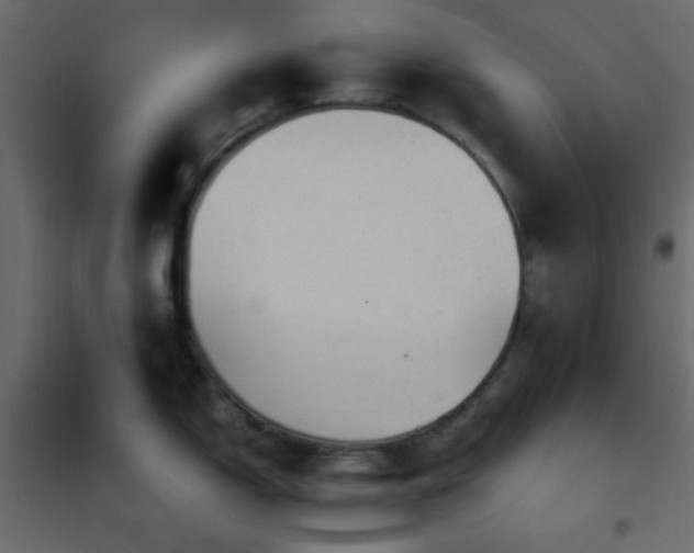 X0000102521150200808081422