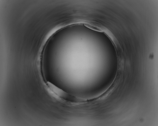 X0000102521151200808081422