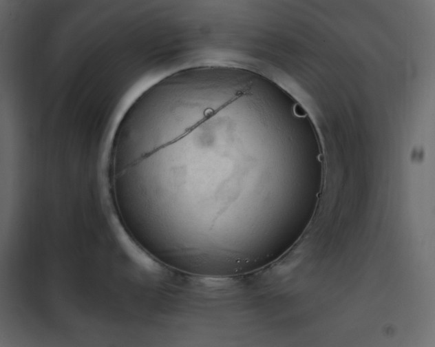 X0000102521152200808081422