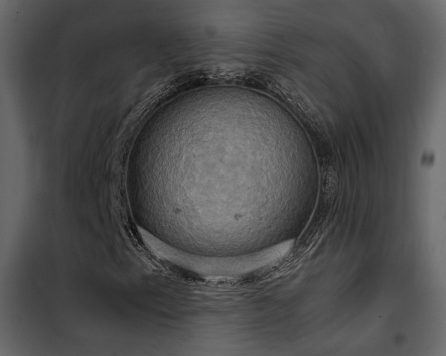 X0000102521153200808081420