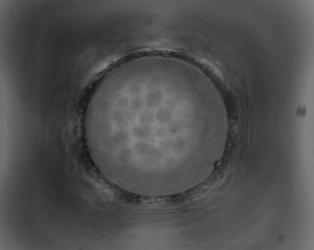 X0000102521159200808081420