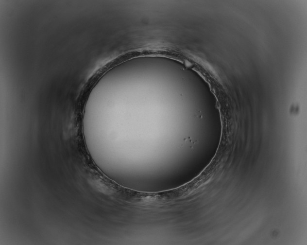 X0000102521160200808081420