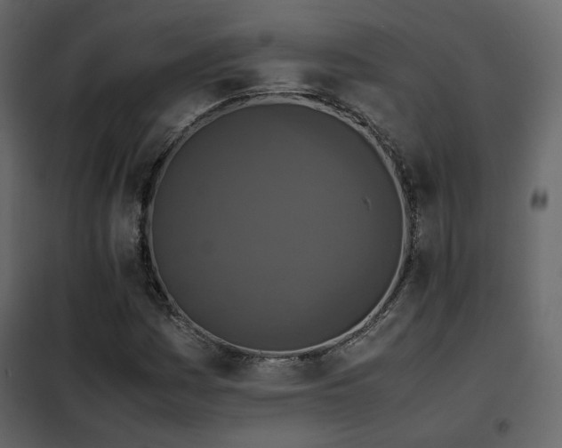 X0000102521161200808081420