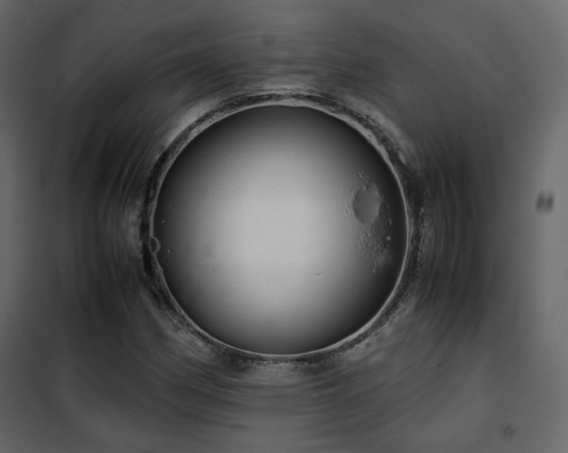 X0000102521162200808081420