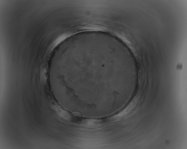 X0000102521163200808081420