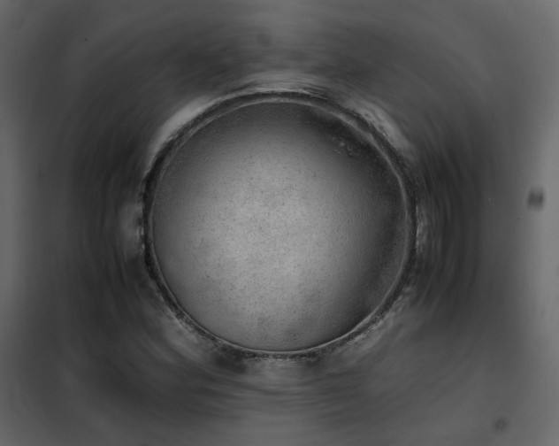 X0000102521164200808081420