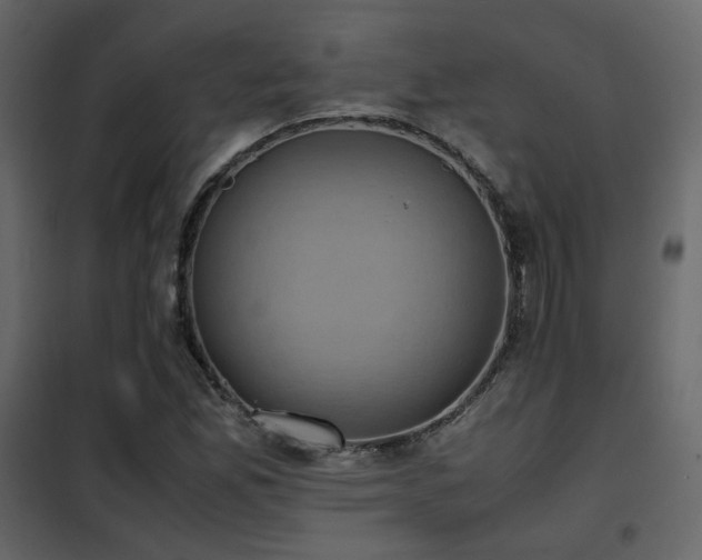 X0000102521165200808081420