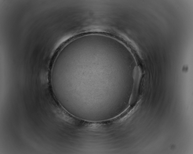 X0000102521166200808081420