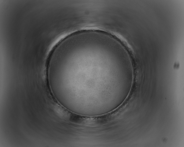 X0000102521167200808081420