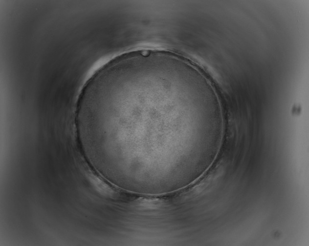 X0000102521168200808081420