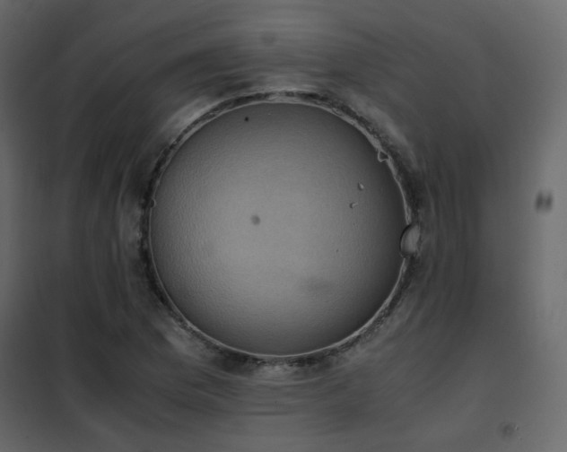 X0000102521169200808081420