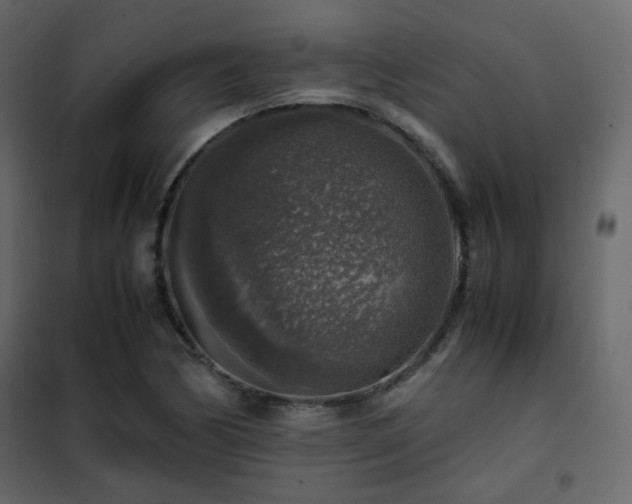 X0000102521170200808081420