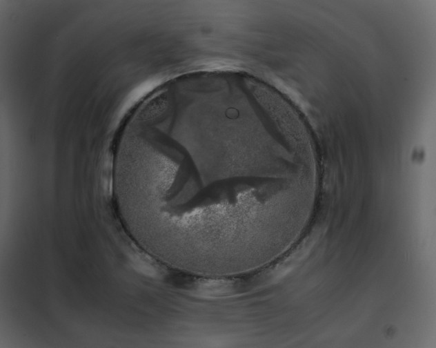 X0000102521171200808081420