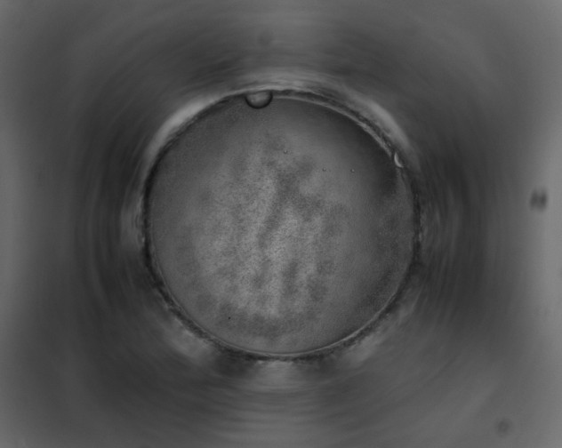 X0000102521172200808081420