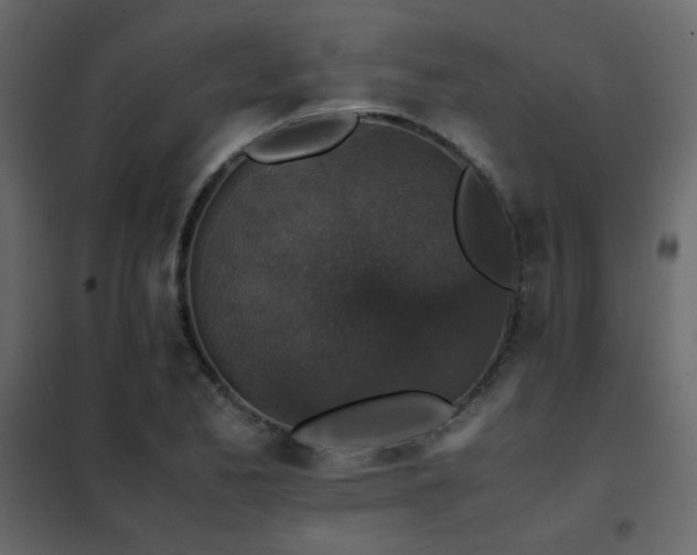 X0000102521173200808081420