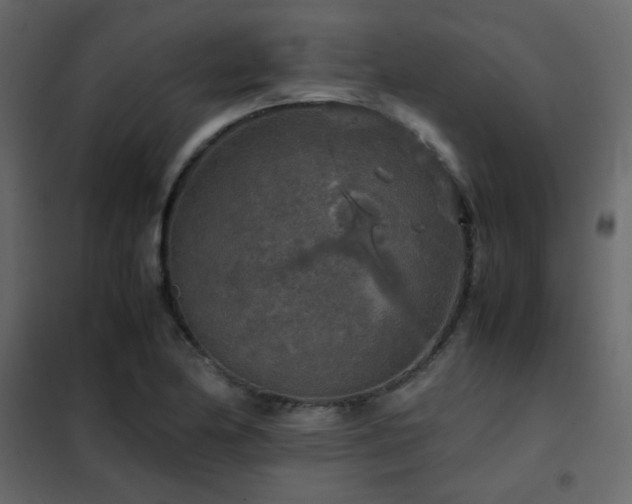 X0000102521174200808081420