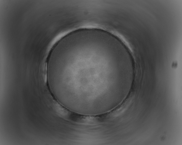 X0000102521175200808081420