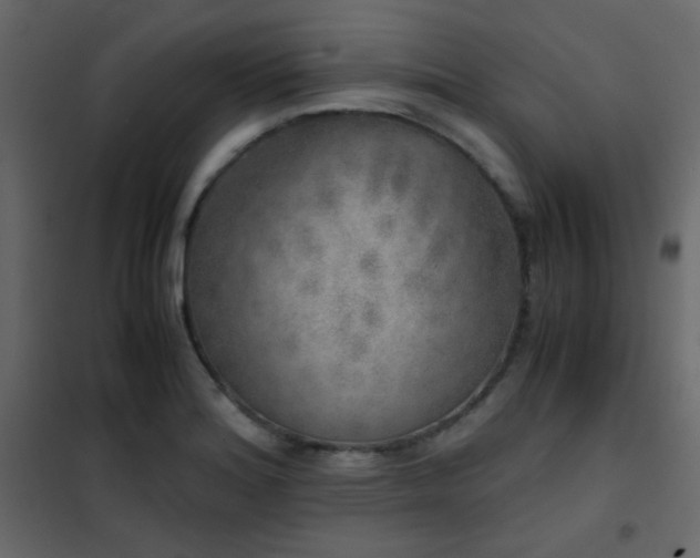 X0000102521180200808081420