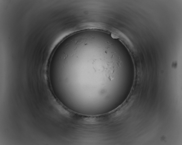 X0000102521182200808081420