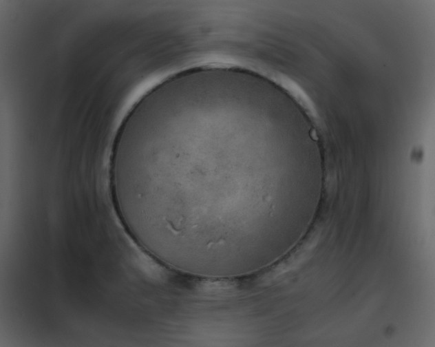 X0000102521183200808081420