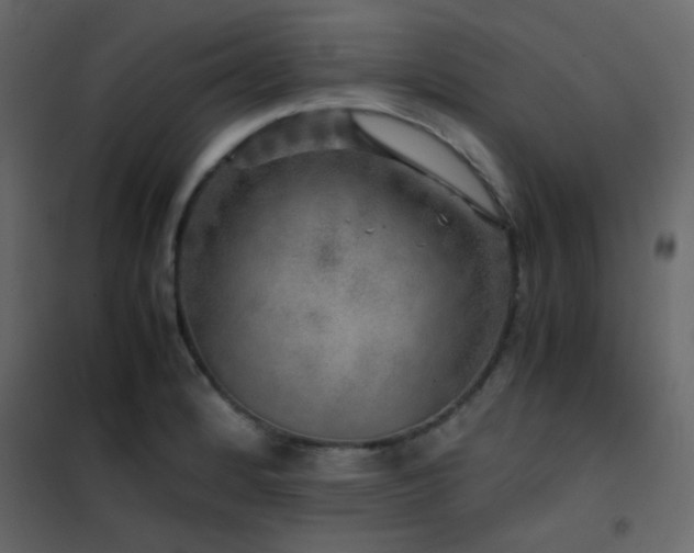 X0000102521184200808081420