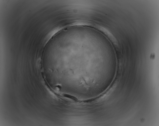 X0000102521185200808081420