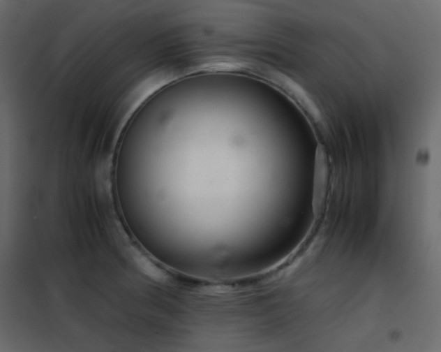 X0000102521186200808081420