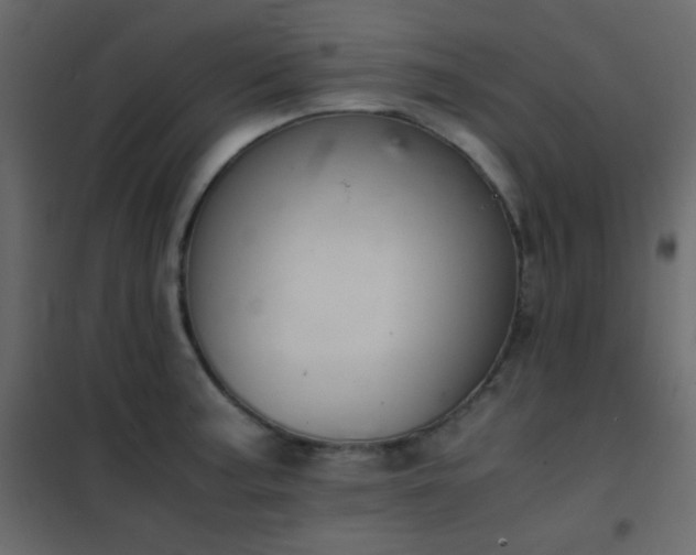 X0000102521187200808081420