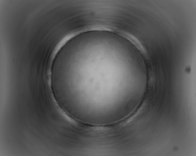 X0000102521188200808081420