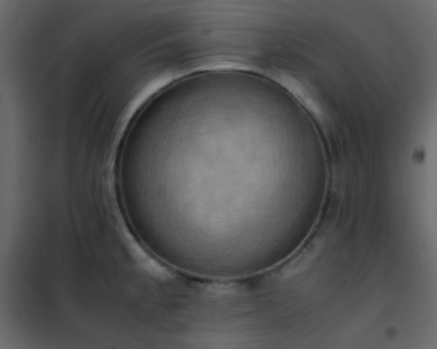 X0000102521189200808081420