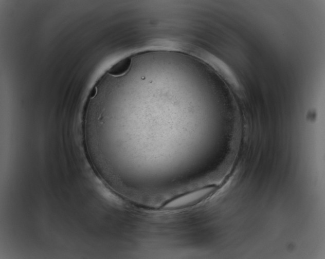 X0000102521192200808081420